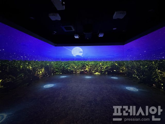 ▲ 완주생강문화공간 시앙에 마련된 실감형 미디어아트 전시관. 밤하늘과 생강밭 풍경을 영상으로 구현해, 관람객이 완주생강전통농업의 환경과 정서를 몰입형 콘텐츠로 체험할 수 있도록 구성됐다. ⓒ완주군