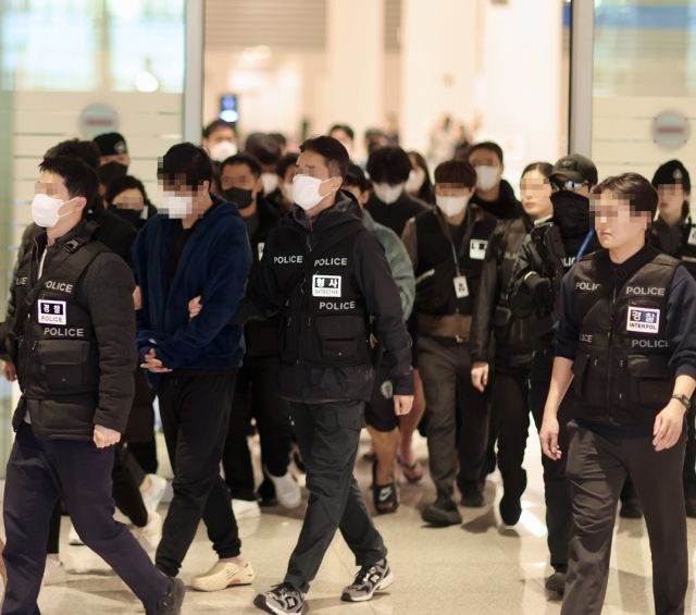 ▲23일 인천공항을 통해 캄보디아 스캠 조직원들이 국내로 송환되고 있다.ⓒ부산경찰청