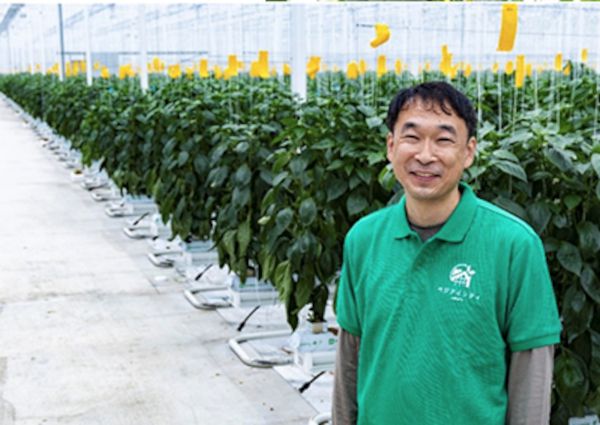 NTT아그리테크놀로지가 설계한 일본의 스마트팜 [사진: NTT]