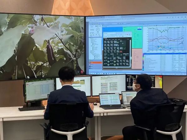 농업 전문가들이 원격으로 농민들을 지원할 수 있는 NTT '콕핏' 시스템 [사진: NTT]