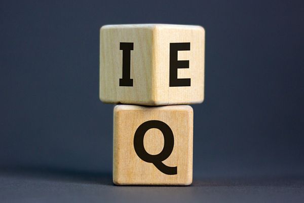 IQ [사진: 셔터스톡]