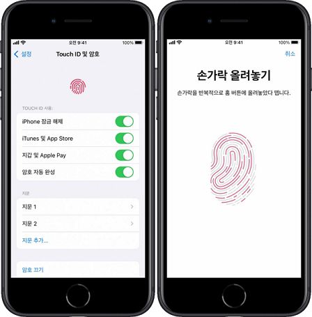 애플이 터치 아이디를 재도입할 가능성이 제기됐다. [사진: 애플]