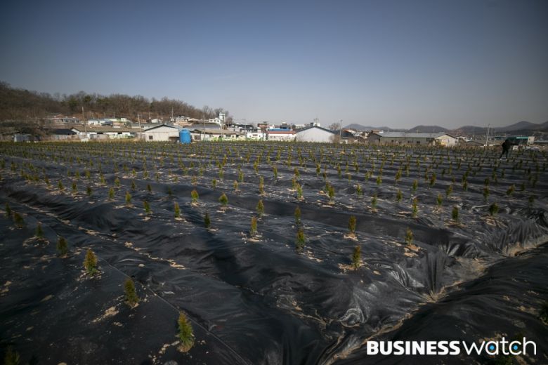 /사진=이명근 기자 qwe123@