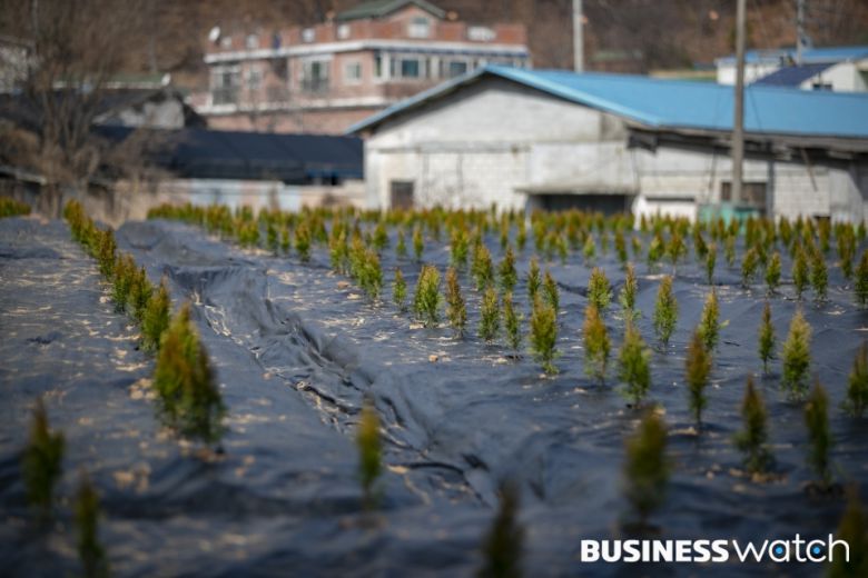 /사진=이명근 기자 qwe123@