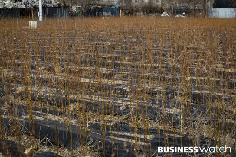 방치된 투기의혹 토지 /사진=이명근 기자 qwe123@