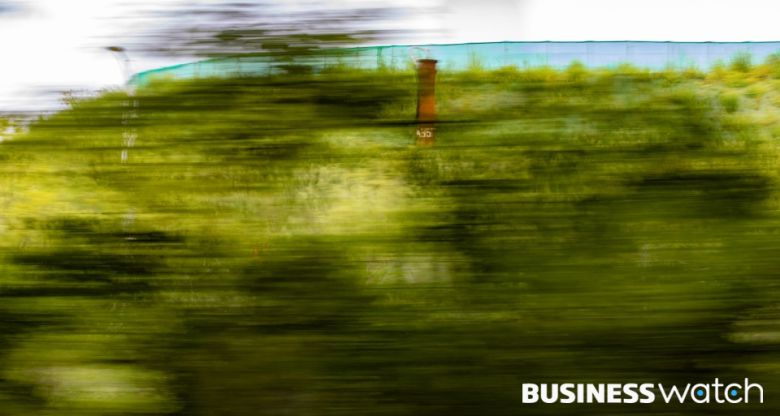 숲으로 변한 1, 2수도권매립지/사진=이명근 기자 qwe123@