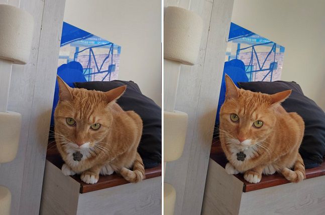 전면 카메라 색감 탭을 활용해 촬영한 사진. 왼쪽은 자연스럽게, 오른쪽은 화사하게로 설정해 찍었다./사진=백유진 기자 byj@