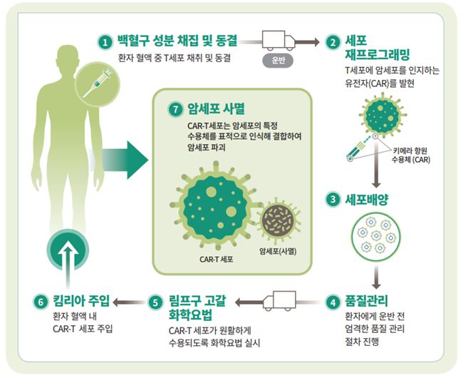 CAR-T 치료제의 제조·생산 과정 /이미지=한국노바티스