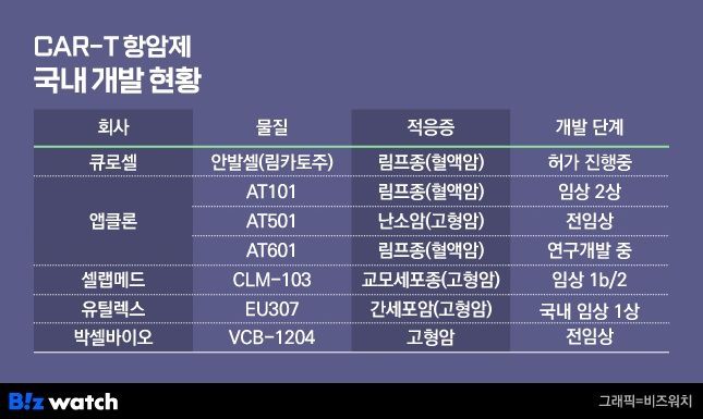 국내 주요 CAR-T 개발 현황. /그래픽=비즈워치
