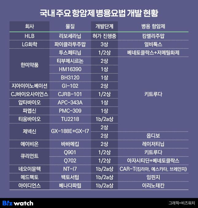 국내 주요 항암제 병용요법 개발 현황. /그래픽=비즈워치
