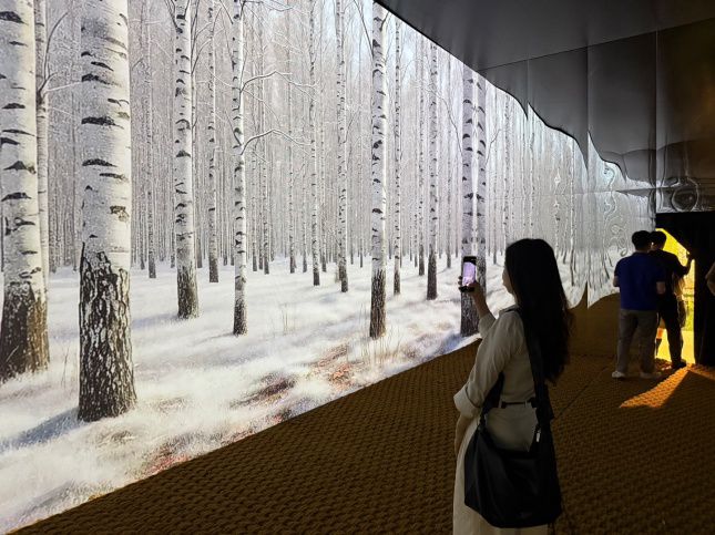 영양군 자작나무 숲의 사계절을 표현한 미디어아트/사진=김다이 기자 @neverdie
