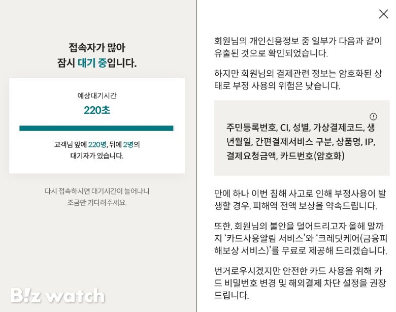 롯데카드 해킹 사고로 롯데카드 회원이 확인한 개인정보 유출 내역. 사진=비즈워치