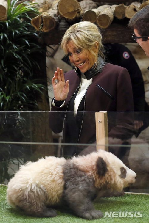 【생테냥쉬르셰르=AP/뉴시스】 ??에마뉘엘 마크롱 프랑스 대통령이 중국을 국빈 방문 중인 가운데, 중국이 오는 2027년 프랑스에 암수컷 판다 한 쌍을 추가로 보낼 예정이라고 밝혔다. 사진은 에마뉘엘 마크롱 프랑스 대통령의 부인 브리지트 여사가 2017년 보발 동물원에서 생후 4개월 된 아기 판다를 향해 손을 흔드는 모습. 2025.12.05