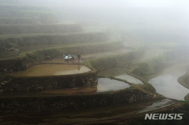 [남해=뉴시스] 차용현 기자 = 안개가 자욱하게 깔린 경남 남해군 남면 가천마을 다랭이논에서 농부가 모내기를 하고 있다. 2020.06.12.  con@newsis.com