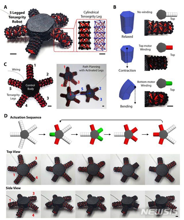[울산=뉴시스] 구미현 기자 =  UNIST 신소재공학부의 김지윤 교수팀이 개발한 불가사리 로봇의 형태와 거동을 나타낸 연구그림. 2020.08.27. (UNIST 제공)photo@newsis.com
