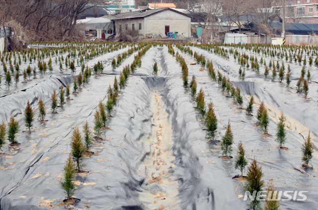 [시흥=뉴시스]김병문 기자 = 한국토지주택공사(LH)가 LH 직원의 광명시흥 신도시 땅 사전 투기 의혹과 관련해 대국민 사과문을 발표한 4일 오전 경기 시흥시 과림동 일대에 묘목이 식재되어 있다. 2021.03.04. dadazon@newsis.com
