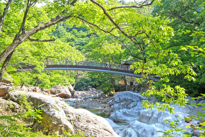 [산청=뉴시스] 산청군 지리산 대원사 계곡길. *재판매 및 DB 금지