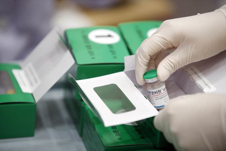 [광주=뉴시스] 국산 1호 코로나19 백신 '스카이코비원' 접종 첫날인 지난 9월5일 광주 북구보건소 접종실에서 감염병예방팀 직원들이 의료기관에 배부할 스카이코비원 백신을 확인하고 있다.  (사진=광주 북구 제공) 2022.11.27. photo@newsis.com *재판매 및 DB 금지