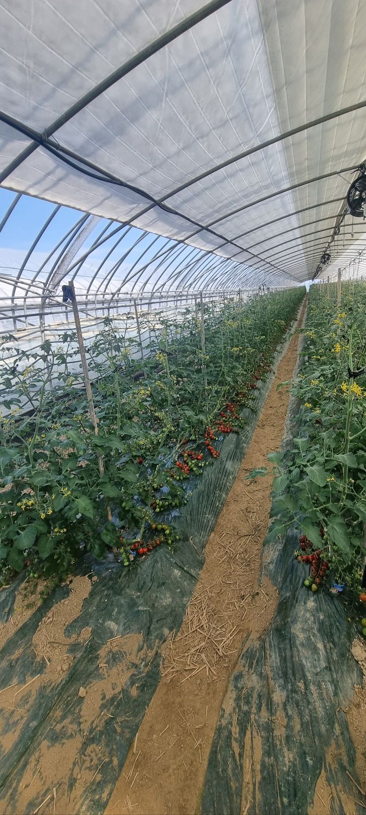 폐열 사용한 농가 *재판매 및 DB 금지