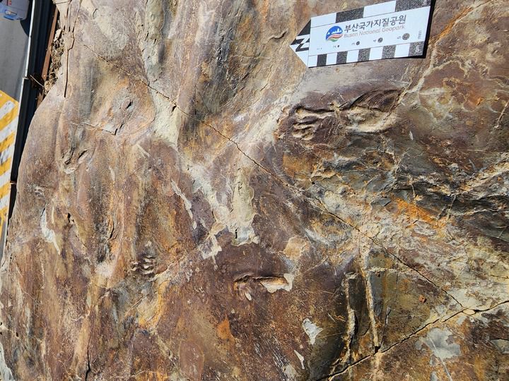 *재판매 및 DB 금지