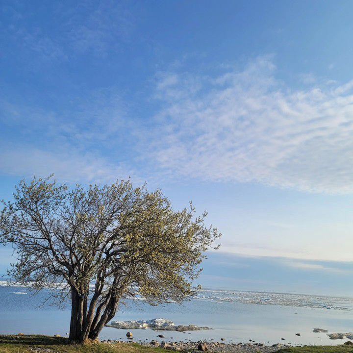 바이칼 호수는 지구에서 가장 오래된 담수호이다. *재판매 및 DB 금지