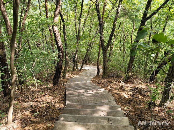 정비한 우두산 등산로