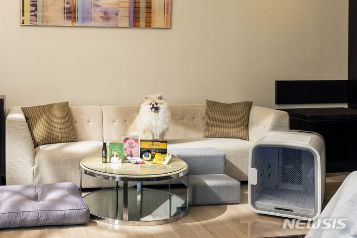 [서울=뉴시스] 쉐라톤 그랜드 인천 호텔 애견 동반 투숙 패키지 '쉐라톤 펫캉스' 리뉴얼 출시. (사진=쉐라톤 그랜드 인천 제공)