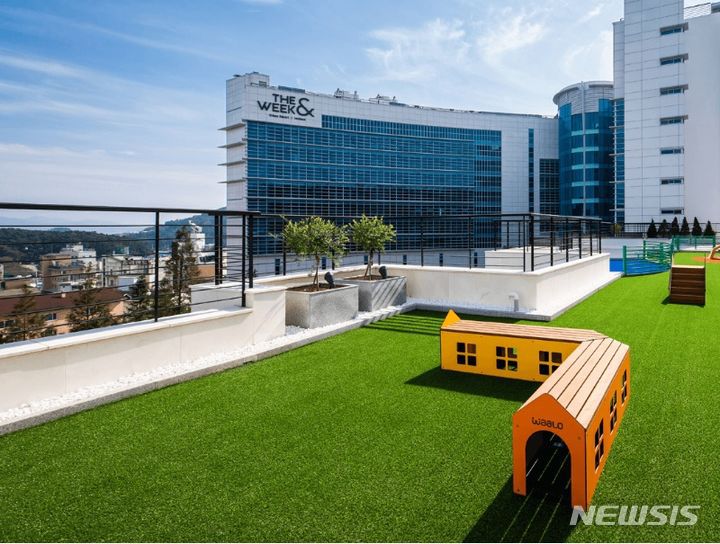 [서울=뉴시스] 인천 더위크앤 리조트 펫파크. (사진=인천 더위크앤 리조트 제공)