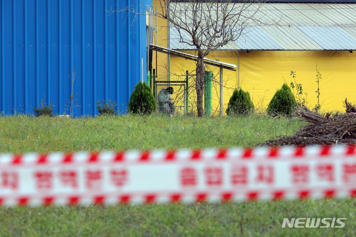 [평택=뉴시스] 김금보 기자 = 럼피스킨 발생 농장에서 살처분 방역이 이뤄지고 있다. 2023.10.22. kgb@newsis.com