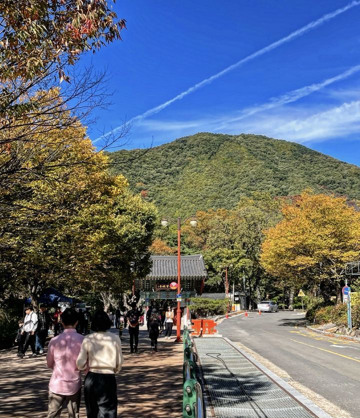 [포항=뉴시스] 경북 포항 보경사 산책로. (사진=뉴시스 DB) 2025.12.05. photo@newsis.com *재판매 및 DB 금지