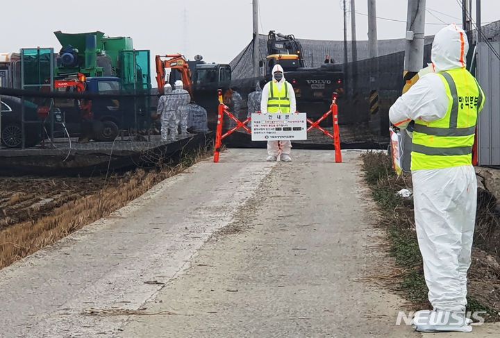 [무안=뉴시스] 박상수 기자 = 6일 오후 H5형 조류인플루엔자(AI) 항원이 검출된 전남 무안군의 한 육용오리 농장에서 선제적 살처분이 진행되면서 출입이 통제되고 있다. 2023.12.06. parkss@newsis.com