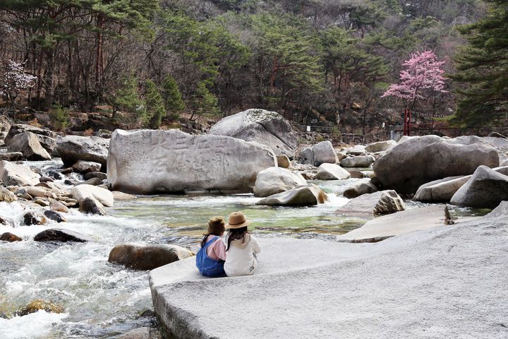 충북 단양 선암골생태유람길의 계곡. 길지혜 작가 촬영. (사진=한국관광공사 제공) photo@newsis.com *재판매 및 DB 금지