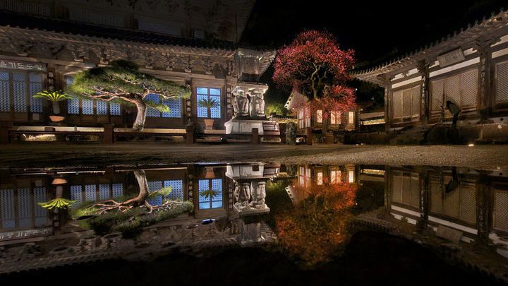 [서울=뉴시스] 대한불교조계종 19교구 지리산 대화엄사 교구장 덕문 스님은 23일 2024 제4회 화엄사 홍매화·들매화 사진 콘테스트의 응모작 심사 결과 수상작들을 발표했다. 사진은 휴대폰 사진 콘테스트 교구장스님상 수상작인 김동희씨의 '화엄사 야경'. (사진=화엄사 제공) 2024.04.23. photo@newsis.com *재판매 및 DB 금지