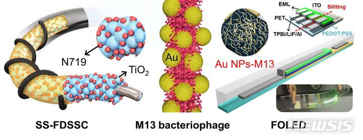 [창원=뉴시스]하이브리드 바이오 나노구조체를 이용한 전자소자.(사진=한국재료연구원 제공)2024.06.10.  photo@newsis.com