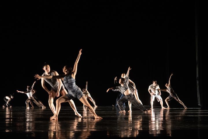 [서울=뉴시스] 국립현대무용단의 '정글' 공연 장면. (사진=국립현대무용단 제공) 2024.06.19 photo@newsis.com *재판매 및 DB 금지