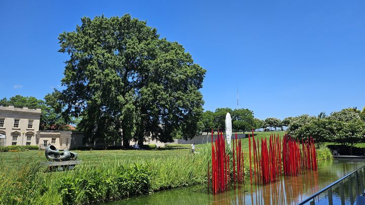 본관과 별관 사이, 큰 잔디밭이 펼쳐진다. 로빈슨 조각 정원의 주인공은 조각들이 아니라 그 공간을 활용하는 관람객들이다. *재판매 및 DB 금지