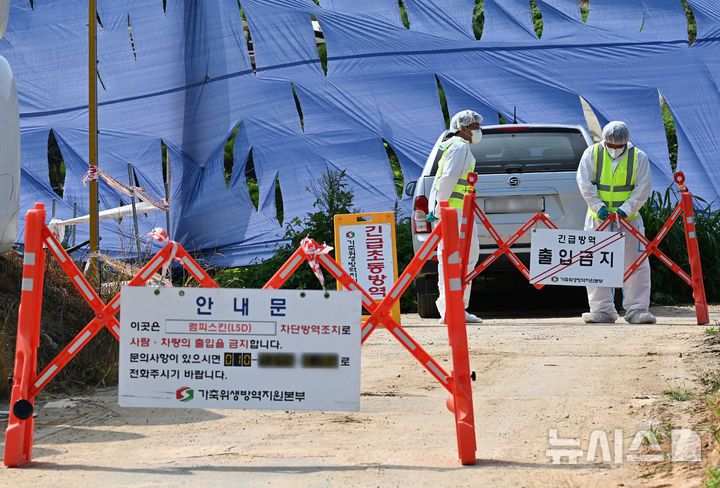 [안성=뉴시스] 김종택 기자 = 올해 첫 소 바이러스성 질병인 럼피스킨병이 발생한 경기도 안성시 한우 농장에서 13일 방역 관계자들이 외부인 출입을 통제하고 있다.국내에서 제1종 가축전염병으로 지정된 럼피스킨병은 모기 등 흡혈 곤충에 의해 전파되는 바이러스성 질병으로 사람에게는 전염되지 않지만 감염된 소에는 고열과 피부 결절 등의 증상이 나타나며 확진 사례가 나온 건 작년 11월 이후 9개월 만이다. 2024.08.13. jtk@newsis.com