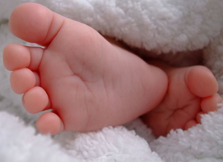 [뉴시스] 기사의 이해를 돕기 위한 이미지. (사진=뉴시스DB) 2025.06.05. photo@newsis.com  *재판매 및 DB 금지