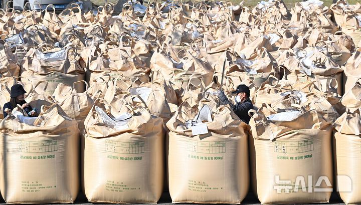 [평택=뉴시스] 김종택기자 = 지난해 11월 7일 경기도 평택시 오성면 농업생태원에서 열린 2024년산 공공비축미곡 매입 현장에서 검수원들이 벼의 품질을 검수하고 있는 모습. 2024.11.07. jtk@newsis.com