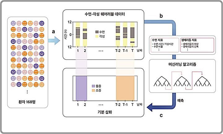 [대전=뉴시스] 수면-각성 데이터만을 이용한 기분 삽화 예측 모델 개발 모식도.(사진=IBS 제공)  *재판매 및 DB 금지
