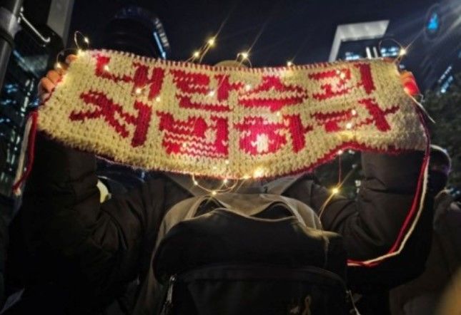 [서울=뉴시스] 한 시민은 뜨개질로 '내란 수괴 처벌하라'는 문구를 만든 뒤 사용한 기법과 도안을 공유했다. (사진=X) *재판매 및 DB 금지