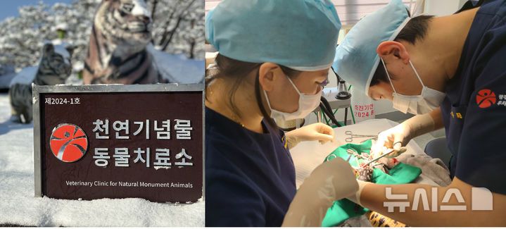 [광주=뉴시스] 광주우치동물원 동물병원 '천연기념물 치료병원' 지정. (사진=광주시청 제공). photo@newsis.com *재판매 및 DB 금지