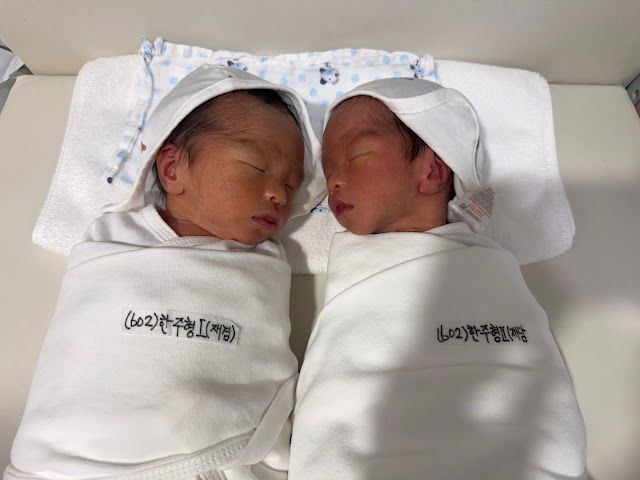 [서울=뉴시스] 쌍둥이. *재판매 및 DB 금지