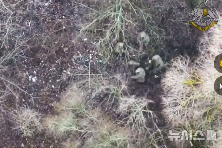 [쿠르스크=AP/뉴시스] 우크라이나 대통령실이 지난달 11일 공개한 자료 사진으로, 우크라이나군이 러시아 쿠르스크 국경 지역에서 러시아군과 함께 싸우는 북한 군인 2명을 생포하고 있다. 2025.02.09.