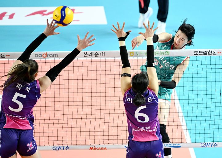 [서울=뉴시스] 프로배구 한국도로공사 강소휘(뒤)가 6일 김천실내체육관에서 열린 도드람 2024~2025 V-리그 여자부 경기에서 흥국생명을 상대로 공격을 시도하고 있다. (사진=KOVO 제공) 2025.02.06. *재판매 및 DB 금지