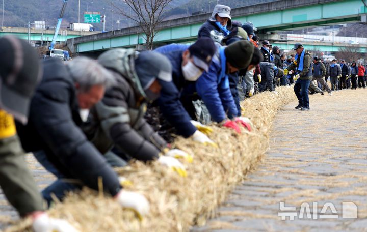 [청도=뉴시스] 이무열 기자 = 6일 오후 경북 청도군 청도천 둔치에서 군민들이 ‘2025 정월대보름 민속한마당’에 사용될 도주줄당기기 가닥줄을 엮고 있다. 2025.02.06. lmy@newsis.com