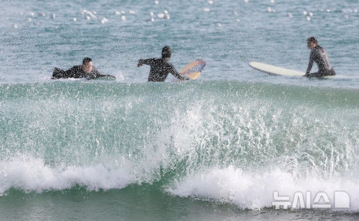[부산=뉴시스] 하경민 기자 =  전국에 한파가 덮친 6일 부산 해운대구 송정해수욕장을 찾은 서퍼들이 높은 파도를 즐기고 있다. 이날 부산의 아침 최저기온은 영하 5.9도, 낮 최고기온 2.6도를 기록했다. 반면 부산 앞바다 수온은 오륙도 10.5도, 기장군 12.3도로 측정됐다. 2025.02.06. yulnetphoto@newsis.com