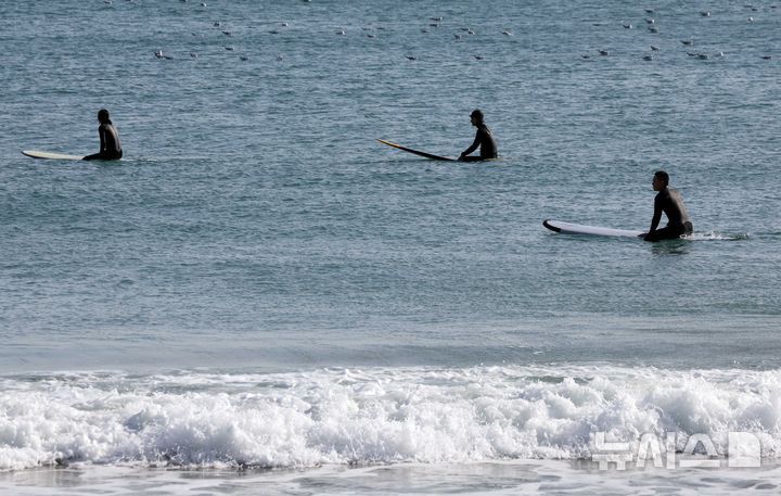[부산=뉴시스] 하경민 기자 =  전국에 한파가 덮친 6일 부산 해운대구 송정해수욕장을 찾은 서퍼들이 높은 파도를 즐기고 있다. 이날 부산의 아침 최저기온은 영하 5.9도, 낮 최고기온 2.6도를 기록했다. 반면 부산 앞바다 수온은 오륙도 10.5도, 기장군 12.3도로 측정됐다. 2025.02.06. yulnetphoto@newsis.com