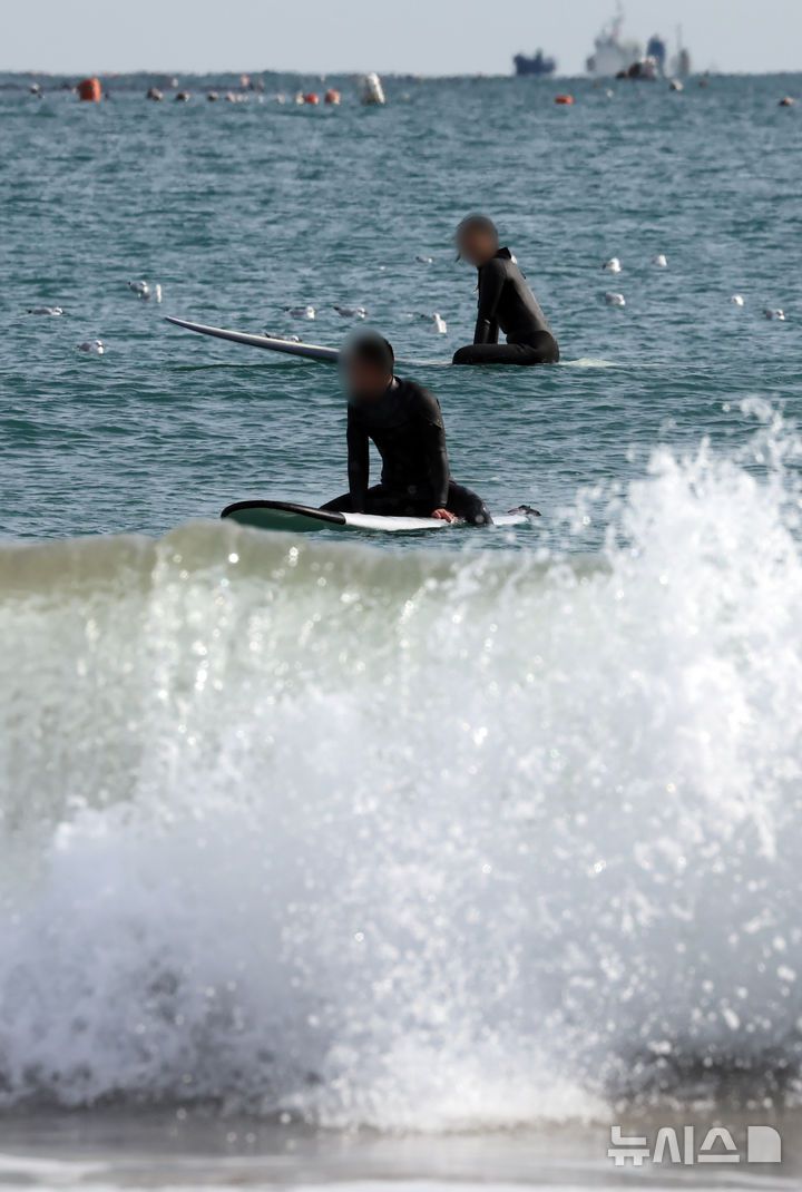 [부산=뉴시스] 하경민 기자 =  전국에 한파가 덮친 6일 부산 해운대구 송정해수욕장을 찾은 서퍼들이 높은 파도를 즐기고 있다. 이날 부산의 아침 최저기온은 영하 5.9도, 낮 최고기온 2.6도를 기록했다. 반면 부산 앞바다 수온은 오륙도 10.5도, 기장군 12.3도로 측정됐다. 2025.02.06. yulnetphoto@newsis.com