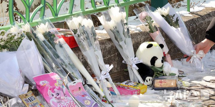[대전=뉴시스] 강종민 기자 = 지난 11일 오후 초등학생 피살사건이 발생한 대전 서구 관저동의 한 초등학교 정문 옆 담장에서 시민들이 국화꽃과 과자·음료 등을 놓으며 고 김하늘(8) 양을 추모하고 있다. 2025.02.11. ppkjm@newsis.com